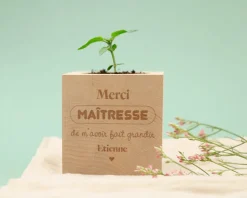 Ecocube personnalisé - L'Ecole est Finie
