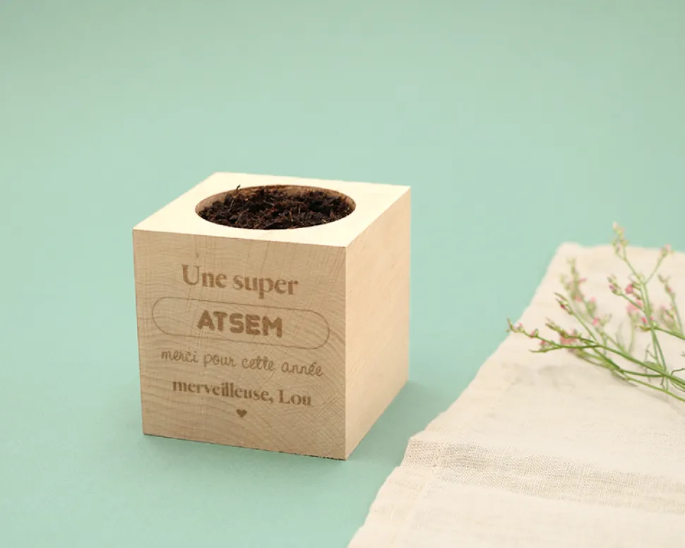Ecocube personnalisé - L'Ecole est Finie
