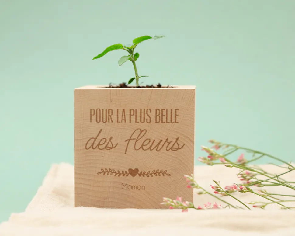 Ecocube personnalisé - Maman