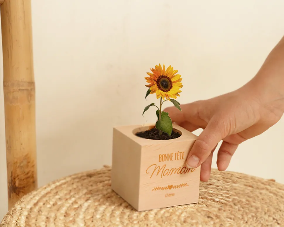 Ecocube personnalisé - Maman