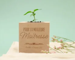 Ecocube personnalisé - Maîtresse, Maître, ATSEM, Nounou