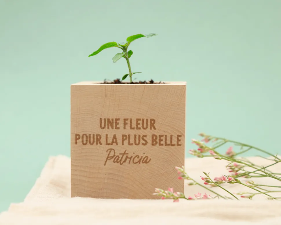 Ecocube personnalisé - Message