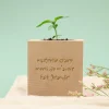 Ecocube personnalisé - Mots d'enfants pour maitresse