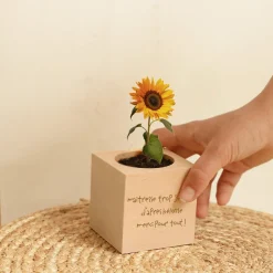 Ecocube personnalisé - Mots d'enfants pour maitresse
