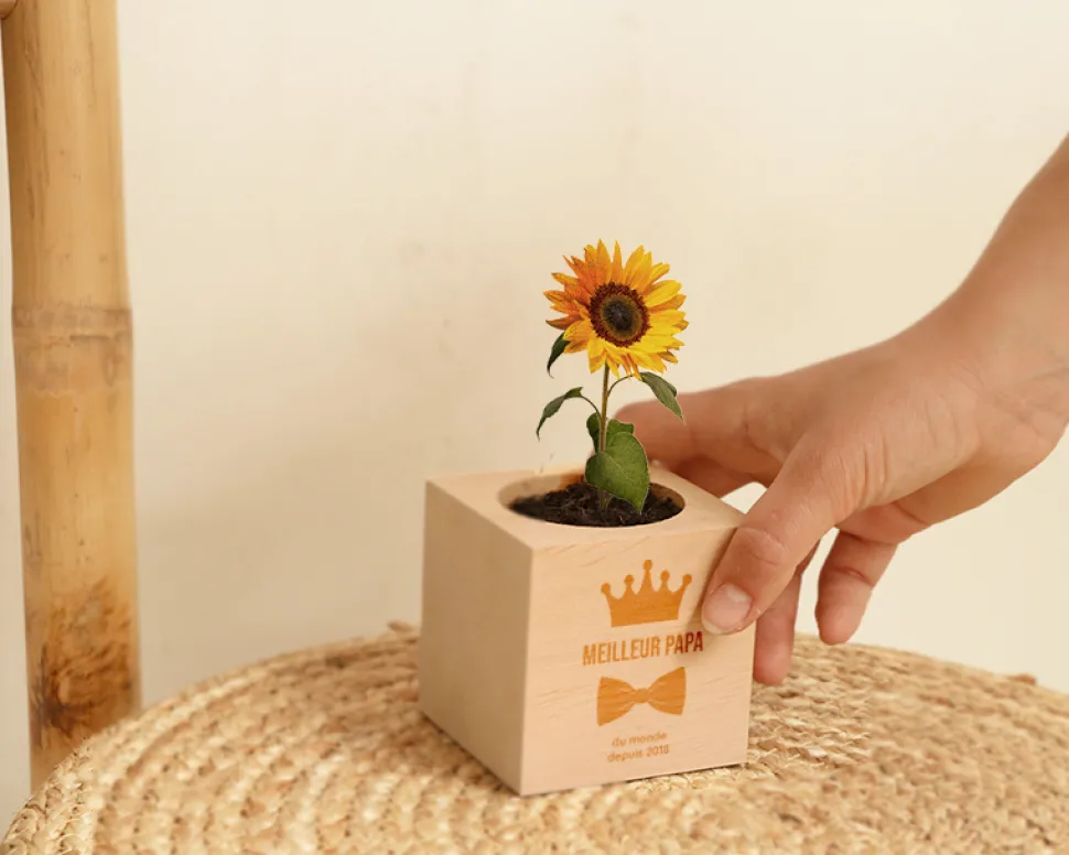 Ecocube personnalisé - Papa Royal