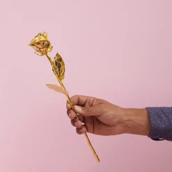 Grande rose en or dans son écrin personnalisable - Dessin au trait