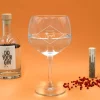 Kit de fabrication de gin avec un verre personnalisé