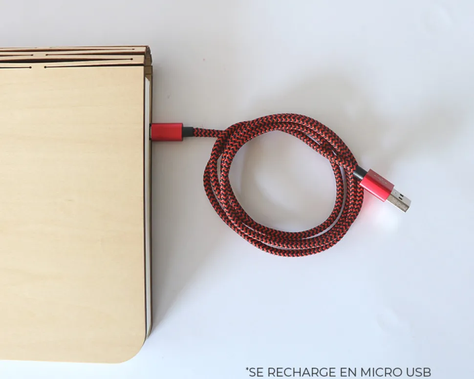 Lampe livre lumineux personnalisé - Mamie Fleurie