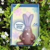 Lapin de Pâques en chocolat personnalisable