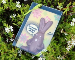 Lapin de Pâques en chocolat personnalisable