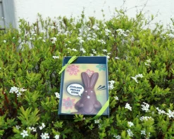 Lapin de Pâques en chocolat personnalisable