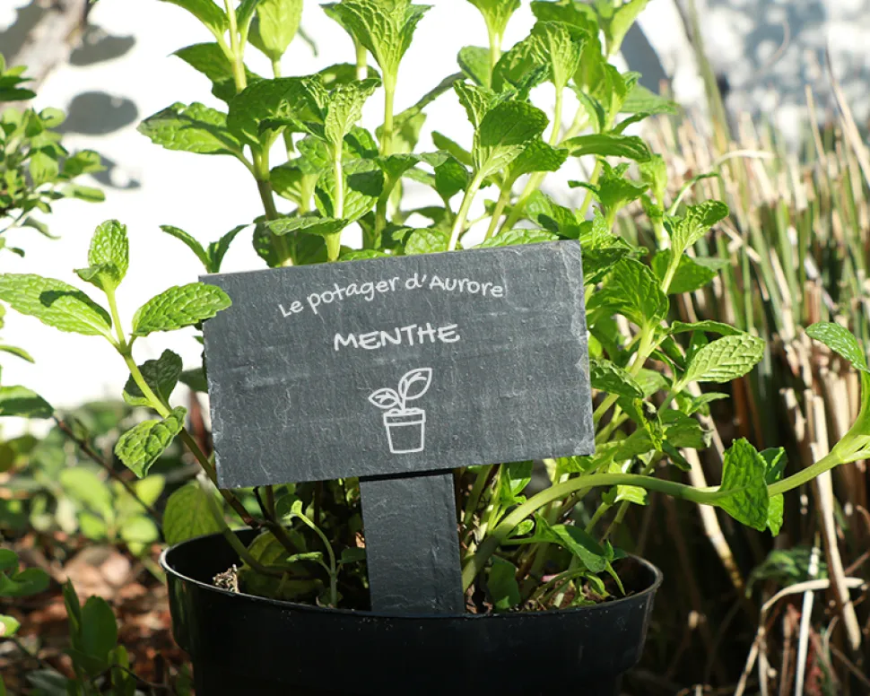 Mini-ardoise pour plante personnalisable - Potager