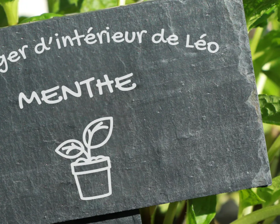 Mini-ardoise pour plante personnalisable - Potager