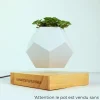 Pot de fleur en lévitation personnalisable