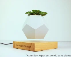 Pot de fleur en lévitation personnalisable