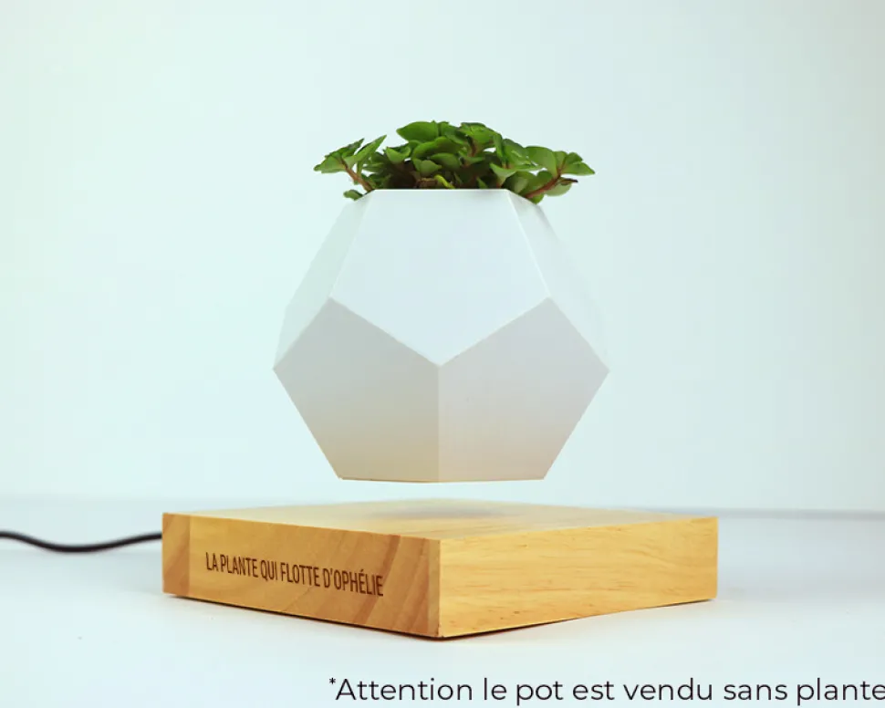 Pot de fleur en lévitation personnalisable