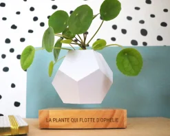 Pot de fleur en lévitation personnalisable