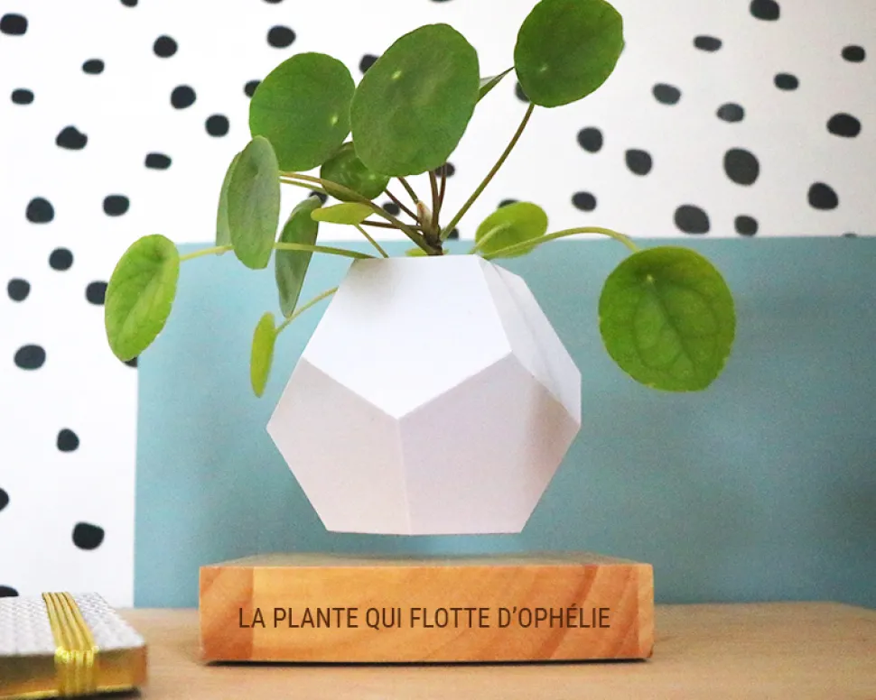 Pot de fleur en lévitation personnalisable