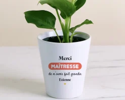 Pot de fleurs personnalisé - Merci Maîtresse