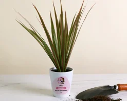 Pot de fleurs personnalisé - Nounou