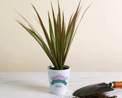 Pot de fleurs personnalisable - Collection Maman fleurie