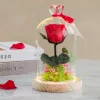 Rose éternelle sous cloche lumineuse avec carte personnalisée