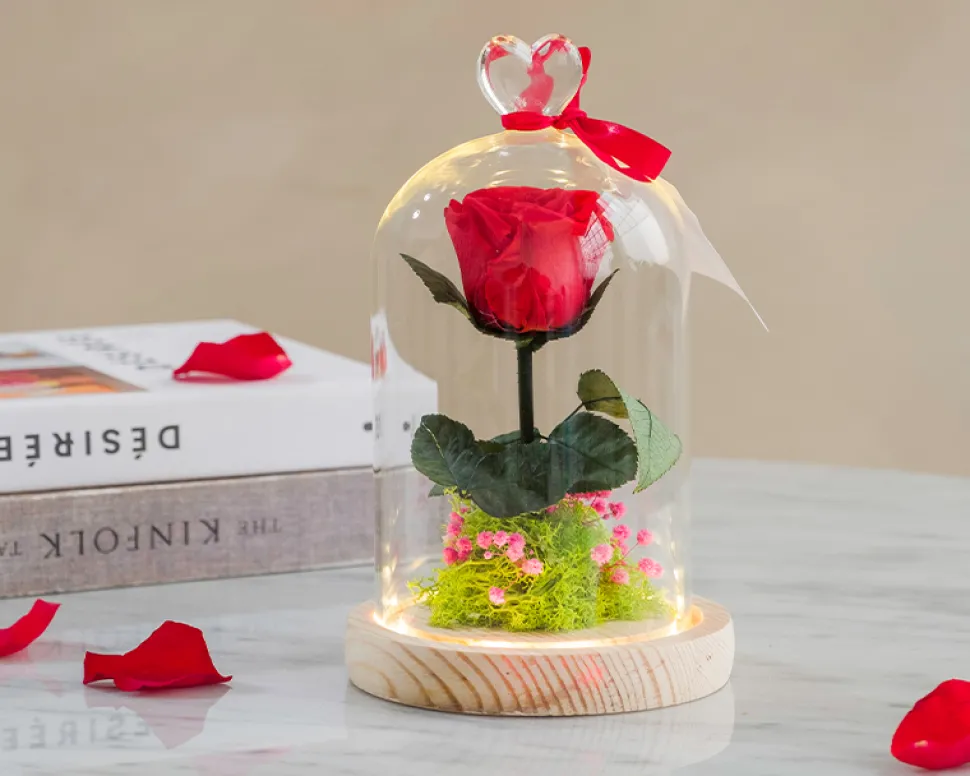Rose éternelle sous cloche lumineuse avec carte personnalisée