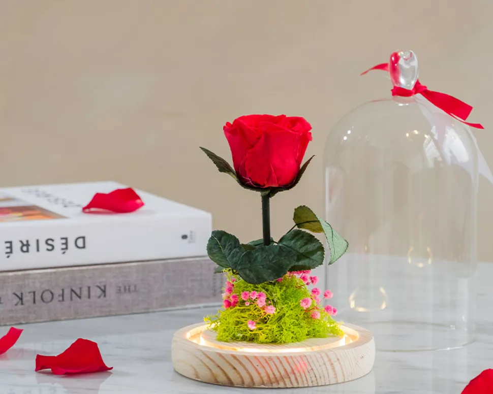 Rose éternelle sous cloche lumineuse avec carte personnalisée