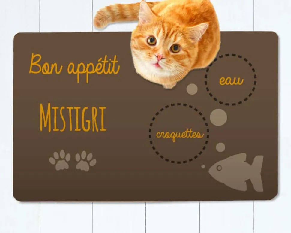 Tapis de gamelle pour chat