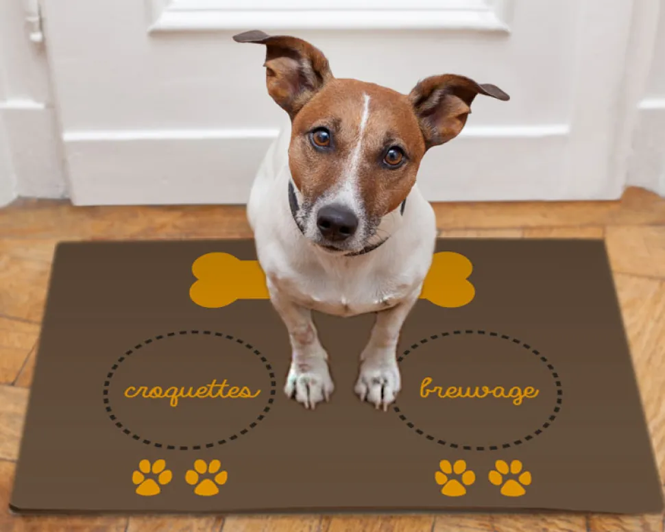 Tapis de gamelle pour chien