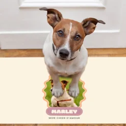 Tapis de sol pour animaux personnalisé - Pet Lovers Club
