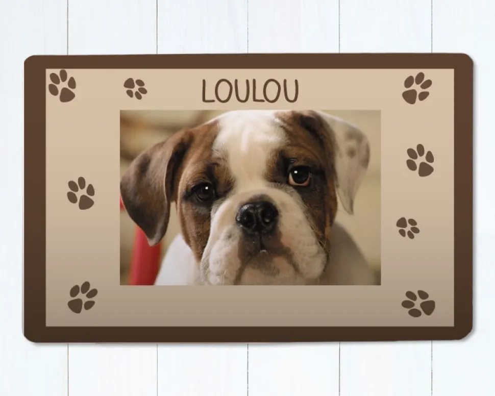 Tapis pour chien - Photo